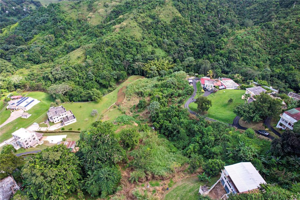 An aerial view shows several houses situated on a lush, hilly, and forested landscape — PR 568 KM 28.5 SECTOR EL LIMON PADILLA, COROZAL, PR