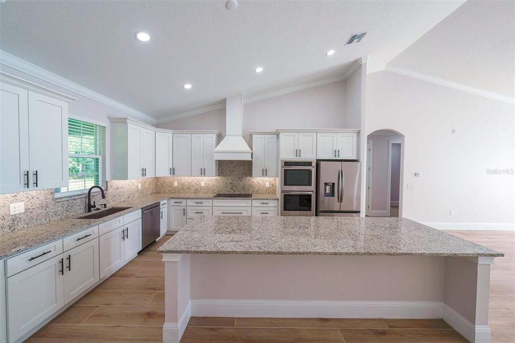 A modern kitchen features white cabinetry, granite countertops, stainless steel appliances, and wood-look tile flooring — 16324 SE 88TH AVENUE, SUMMERFIELD, FL