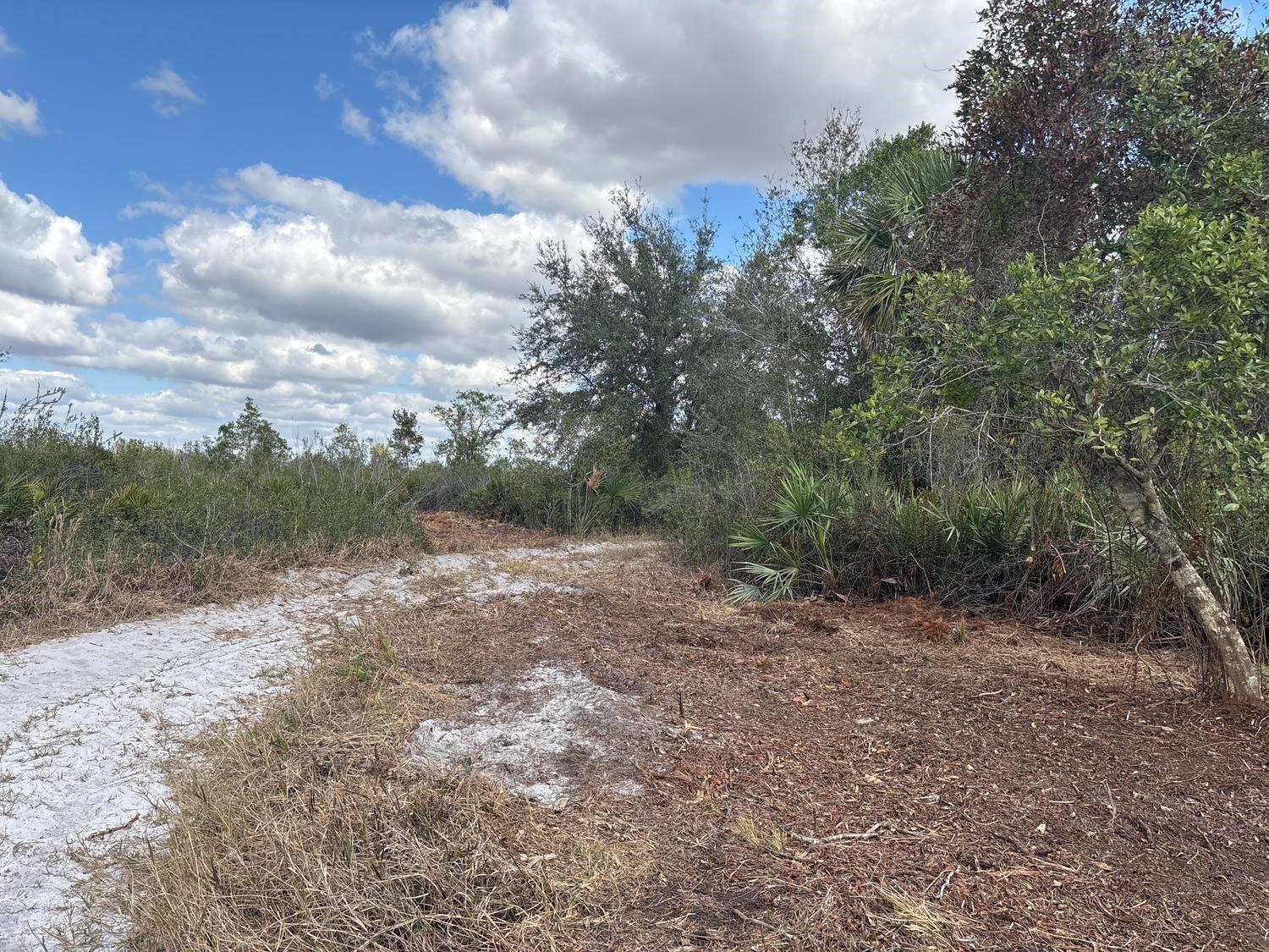 A sandy path leads through a cleared area of land surrounded by trees and shrubs — 0 NW 302nd Street, Okeechobee FL 34972, OKEECHOBEE, FL