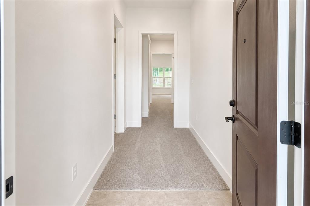 A hallway with light-colored walls, carpeted flooring, and a dark wood door on the right — 259 VERNY GROVE LANE, LEESBURG, FL