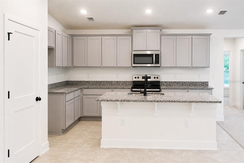 A kitchen features gray cabinets, granite countertops, a center island, and stainless steel appliances — 259 VERNY GROVE LANE, LEESBURG, FL