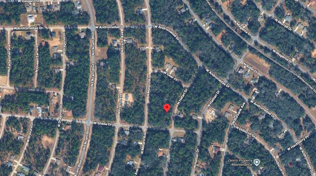 This is a satellite map view of a wooded residential area with a red location pin — 10814 N HATARI DRIVE, CITRUS SPRINGS, FL