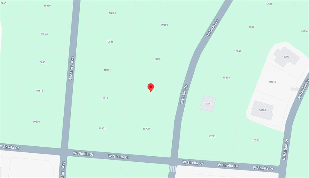 This is a map showing a red location pin situated between N Mataro Ave and N Hatari Dr — 10814 N HATARI DRIVE, CITRUS SPRINGS, FL