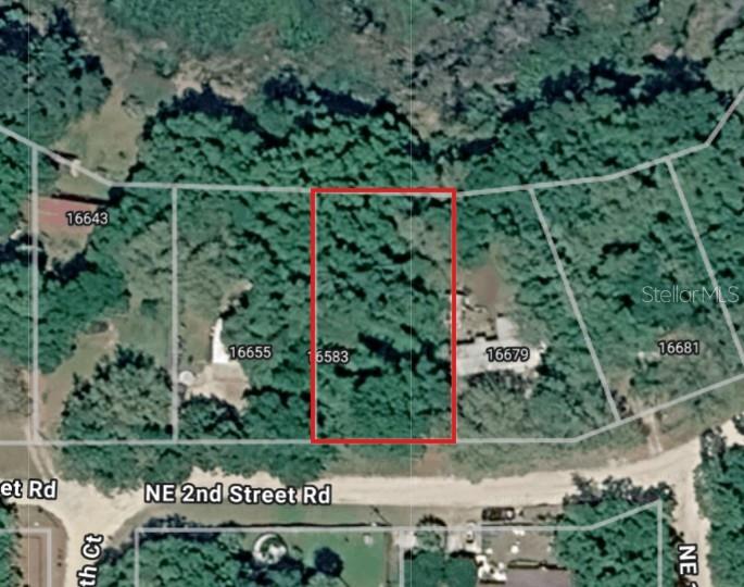 An aerial map view shows a rectangular, wooded vacant lot outlined in red — Lot 19 NE 2ND ST ROAD, SILVER SPRINGS, FL