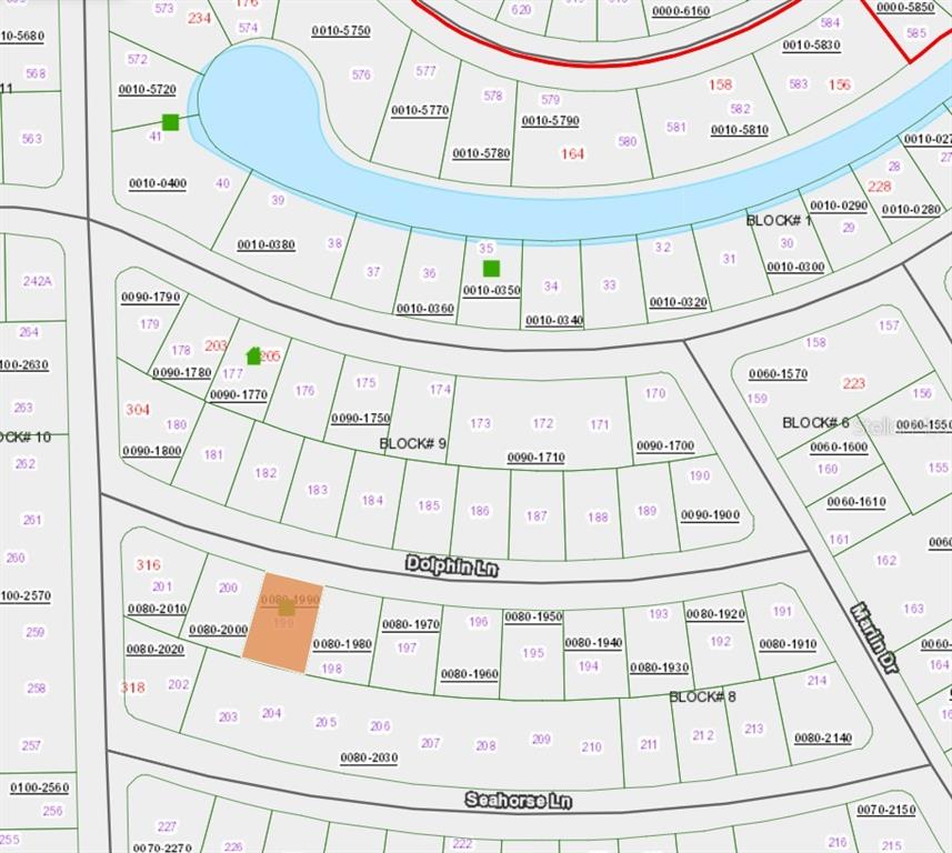 This image is a land parcel map showing property boundaries, block numbers, and street names — 105 DOLPHIN LANE, PALATKA, FL