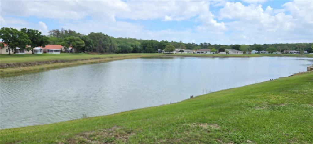 A grassy bank overlooks a pond with residential houses in the background under a cloudy sky — 5445 SANDY HILL DRIVE, ORLANDO, FL