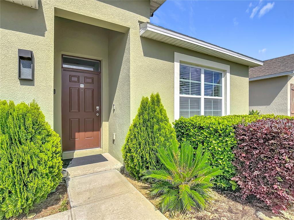 A brown front door is set in a light-colored stucco wall beside a landscaped yard — 2352 WHITE POPPY DRIVE, KISSIMMEE, FL