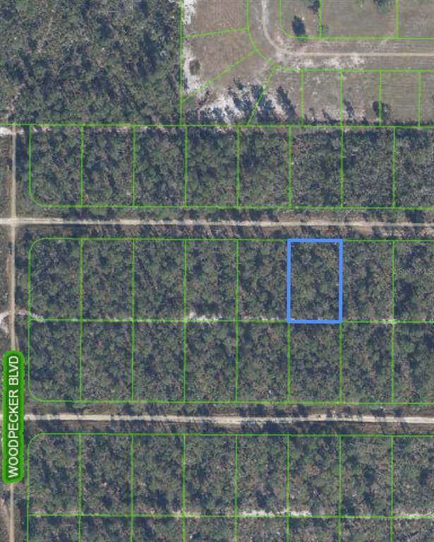 This is an aerial map showing a highlighted rectangular plot of land in a wooded area — 455 NIGHTINGALE AVENUE, SEBRING, FL