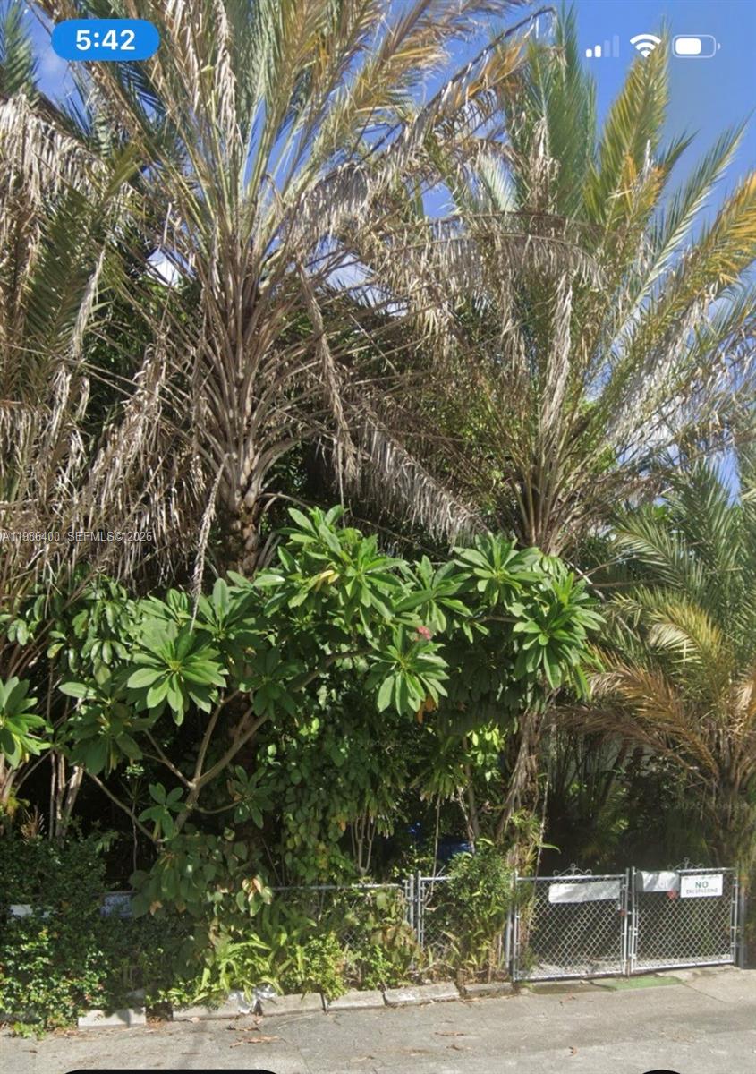 A chain-link fence sits in front of dense green foliage and several tall palm trees — 361 NE 69th St, Miami FL 33138, MIAMI, FL