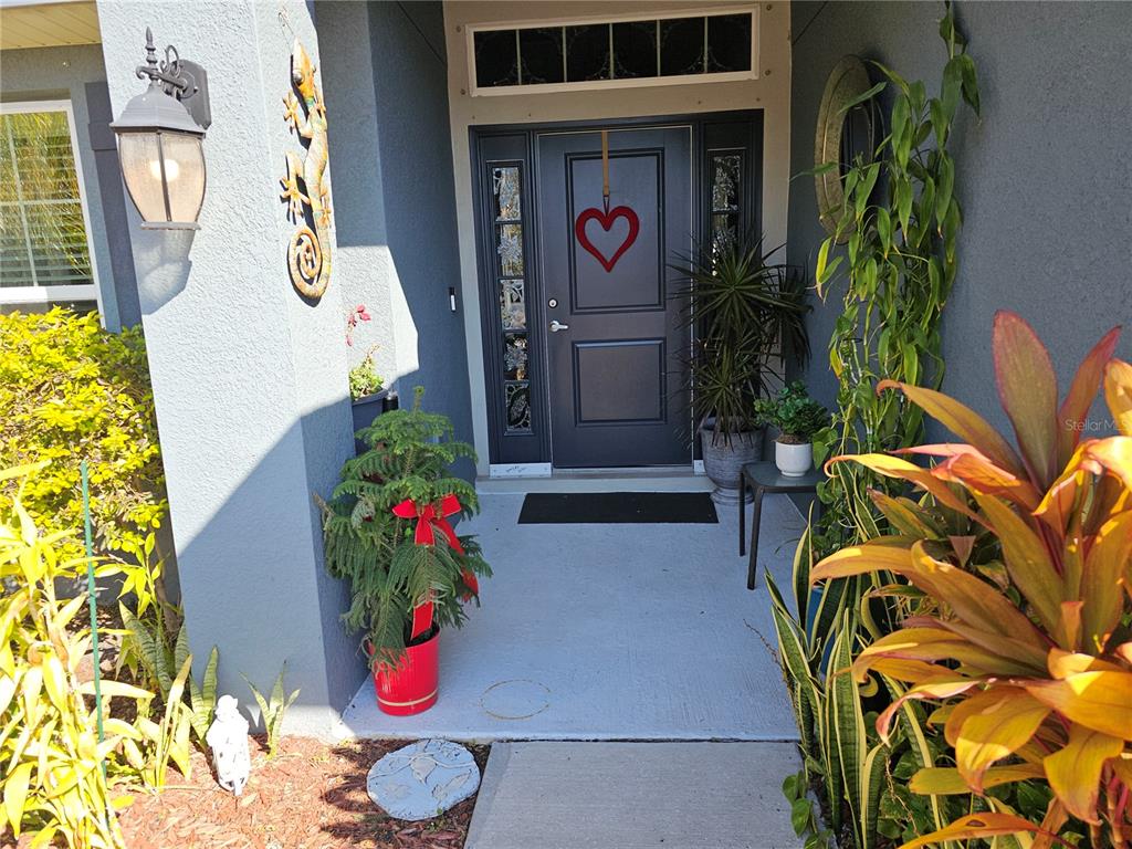14438 SCOTTBURGH GLEN DRIVE, WIMAUMA, FL — photo 2 of 23