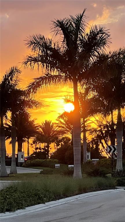 A sunset view featuring palm trees silhouetted against a bright orange sky over a road — 8278 VELDA TRAIL, SARASOTA, FL