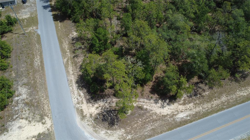 An aerial view shows a wooded corner lot at the intersection of two paved roads — SW RAINBOW LAKES BOULEVARD, DUNNELLON, FL