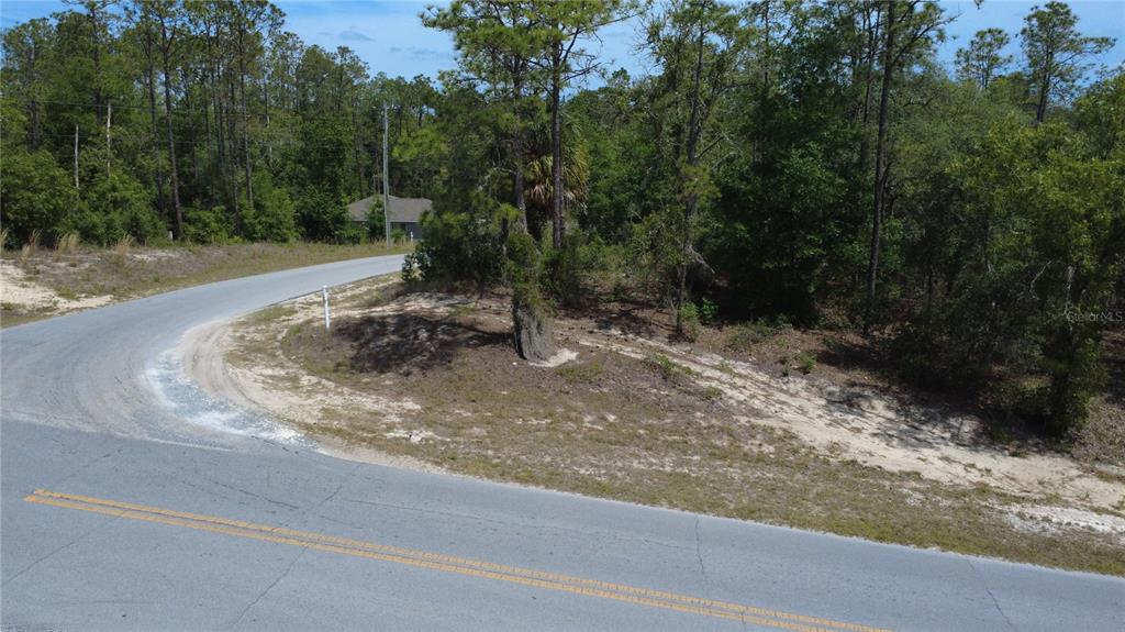 A paved road curves past a vacant, wooded lot with sandy ground and pine trees — SW RAINBOW LAKES BOULEVARD, DUNNELLON, FL