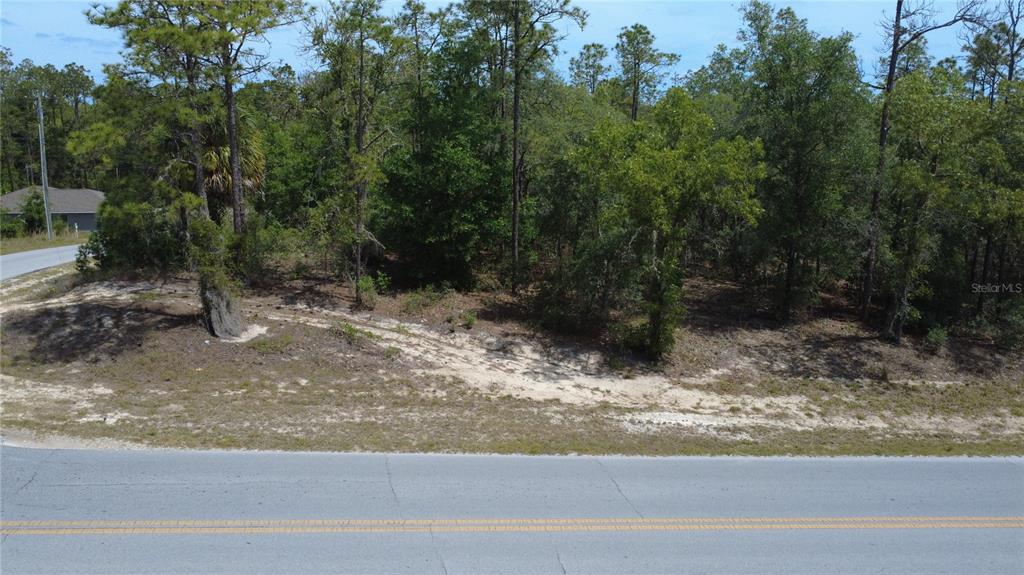 An elevated, wooded vacant lot sits adjacent to a paved road — SW RAINBOW LAKES BOULEVARD, DUNNELLON, FL