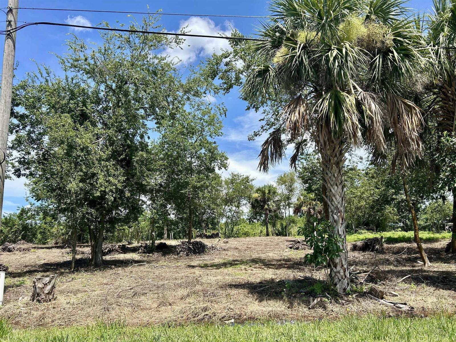 1170 Foxmoor Street, Moore Haven FL 33471