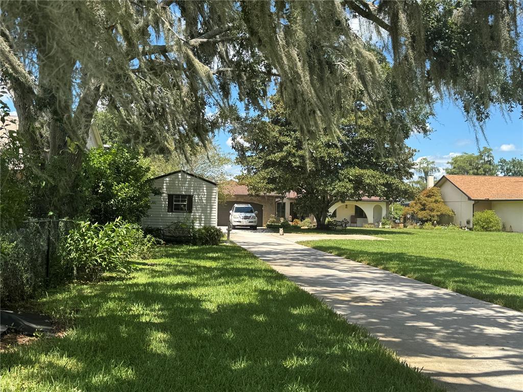 A concrete driveway leads to a house with a shed and large trees in front — 3545 LAKE PADGETT DRIVE, LAND O LAKES, FL