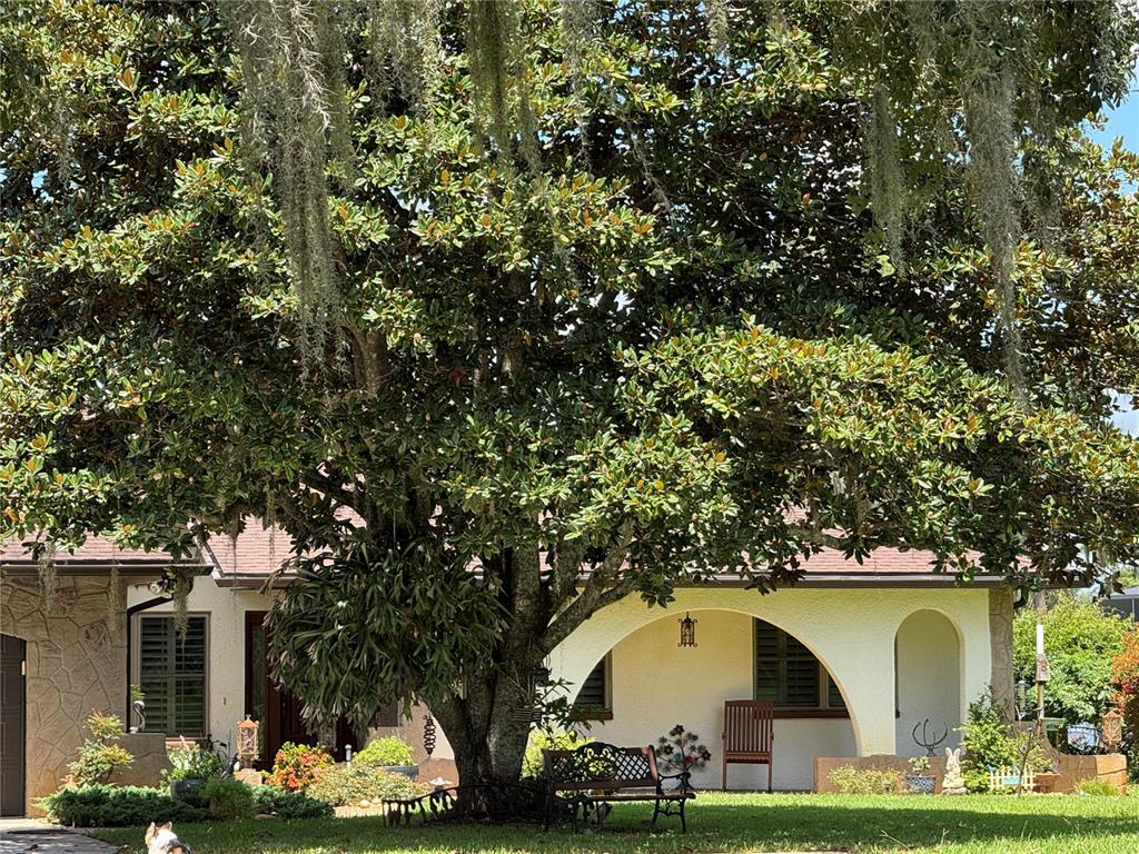 A large magnolia tree stands in front of a house with a covered arched porch — 3545 LAKE PADGETT DRIVE, LAND O LAKES, FL