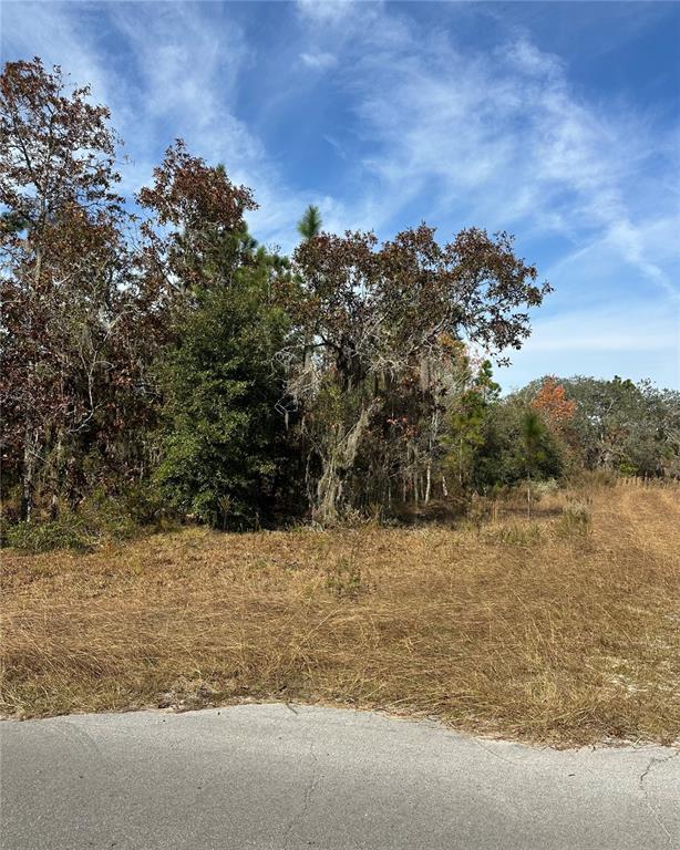 A paved road borders a grassy lot with dense trees and vegetation — Lot 2 NE 151ST TER, WILLISTON, FL
