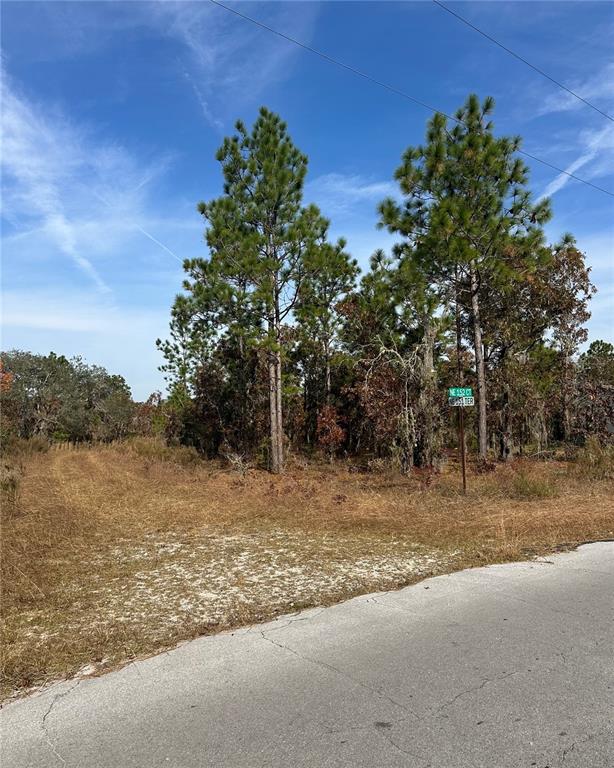A paved road leads to a vacant, wooded lot with tall pine trees — Lot 2 NE 151ST TER, WILLISTON, FL