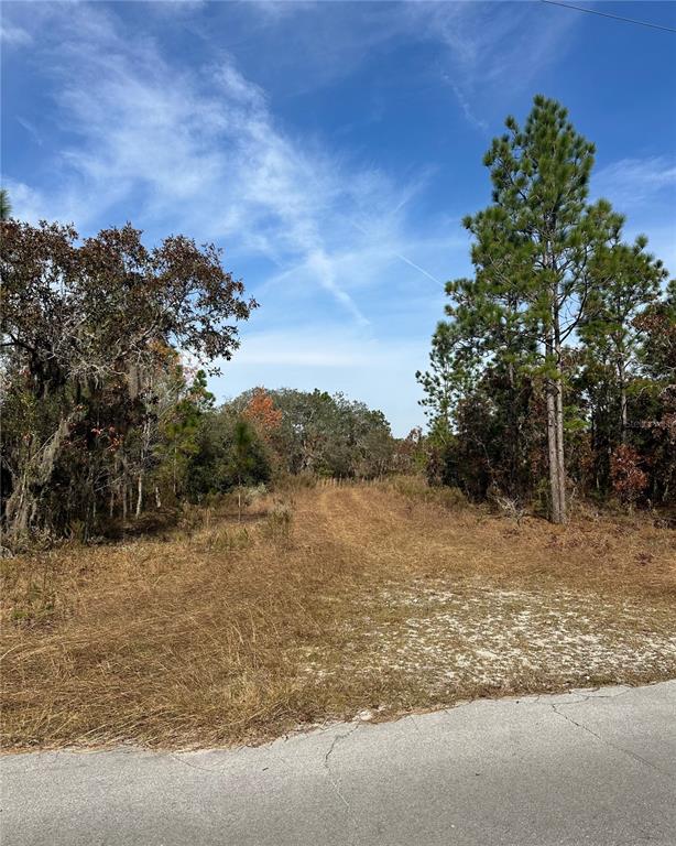 An unpaved path leads into a wooded lot from a paved road — Lot 2 NE 151ST TER, WILLISTON, FL