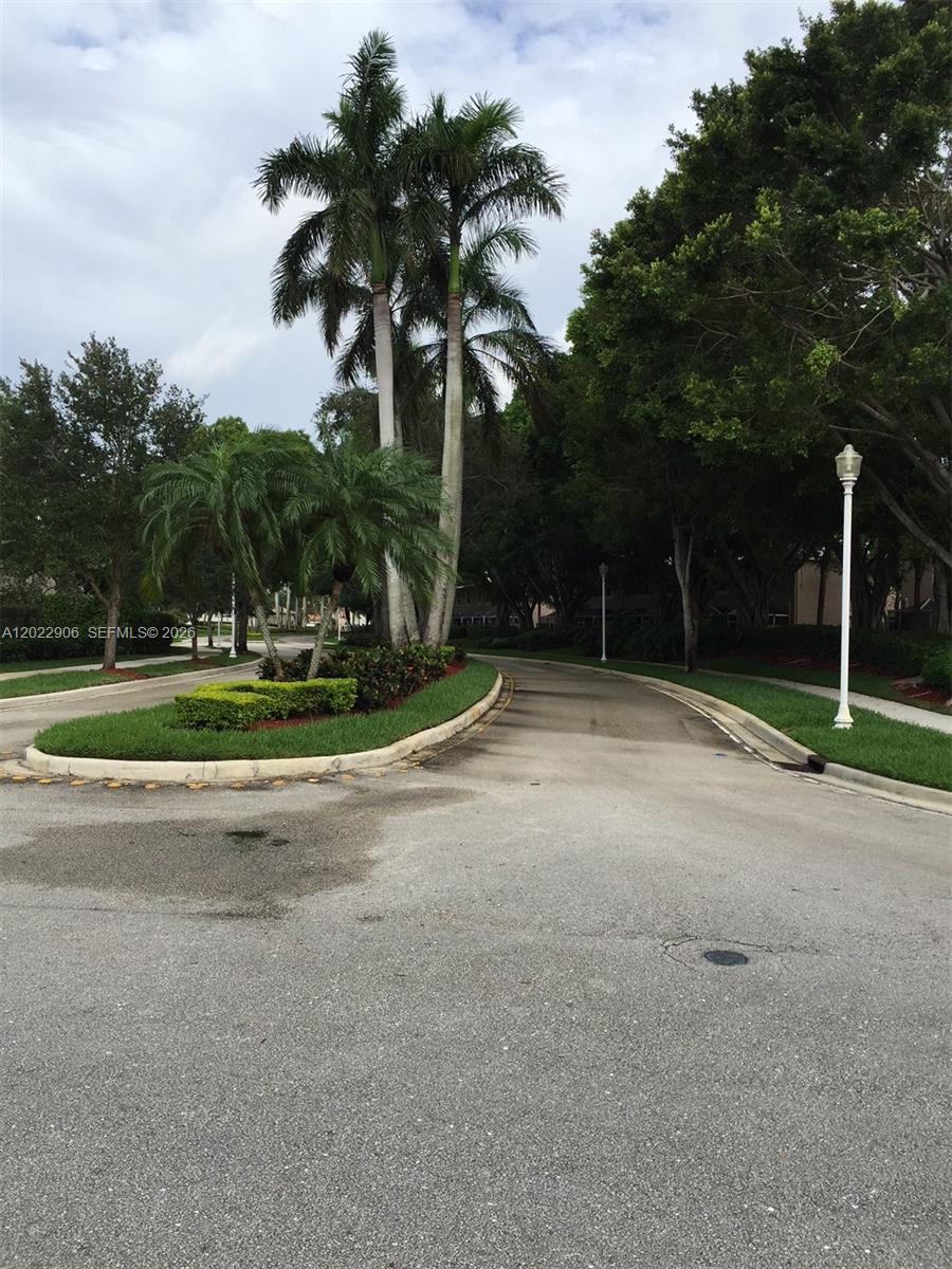 A paved road curves past a landscaped island with palm trees and a street lamp — 1804 Salerno Cir # 1804, Weston FL 33327, WESTON, FL