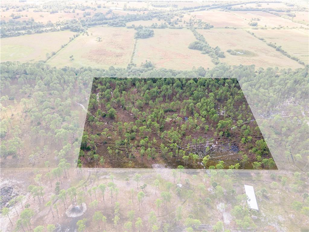An aerial view shows a rectangular plot of wooded land surrounded by open fields — FELLSMERE, FL