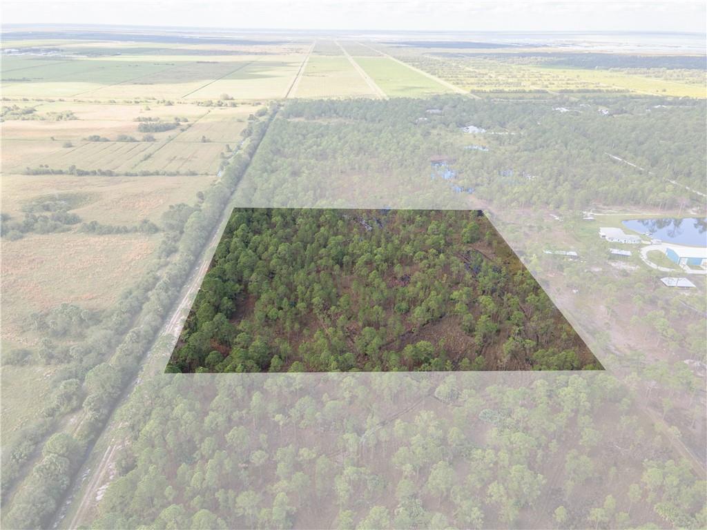 An aerial view shows a rectangular plot of wooded land highlighted against a rural landscape — FELLSMERE, FL