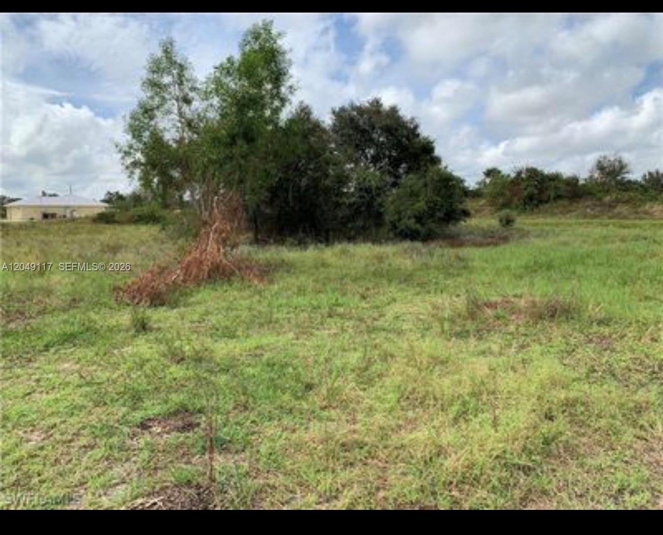 A grassy, undeveloped lot features scattered trees and shrubs under a partly cloudy sky — 2908 Donald Ave S, Lehigh Acres FL 33976, LEHIGH ACRES, FL