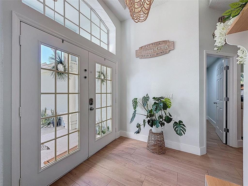 An entryway features double glass-paneled doors, light wood-look flooring, and a potted monstera plant — 3365 INDIAN RIVER STREET, SPRING HILL, FL