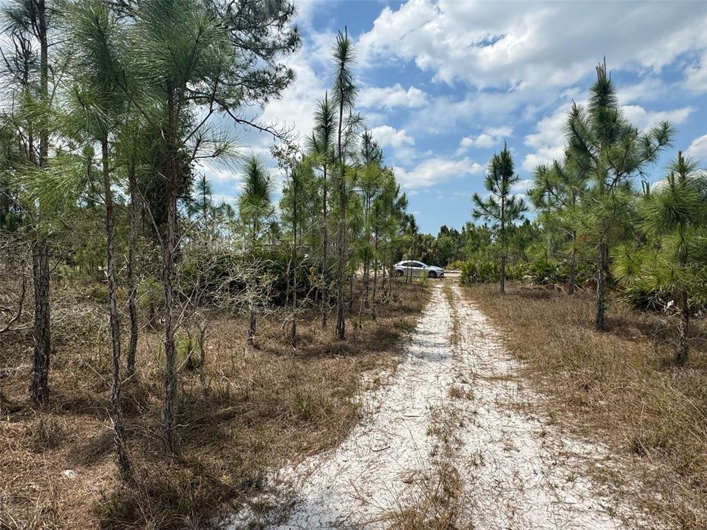 A dirt path leads through a wooded area toward a parked car under a blue sky — 1249 BOWLES AVENUE, FORT MYERS, FL