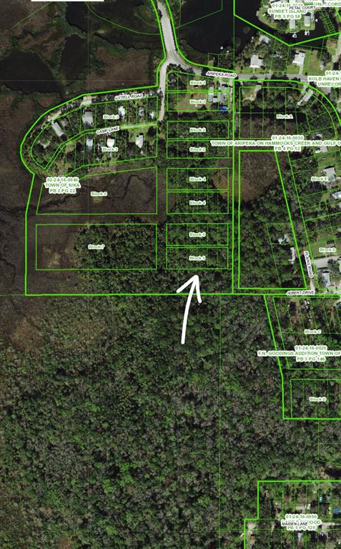 ARIPEKA RD, HUDSON, FL — photo 2 of 5