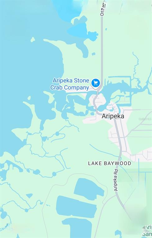 ARIPEKA RD, HUDSON, FL — photo 3 of 5