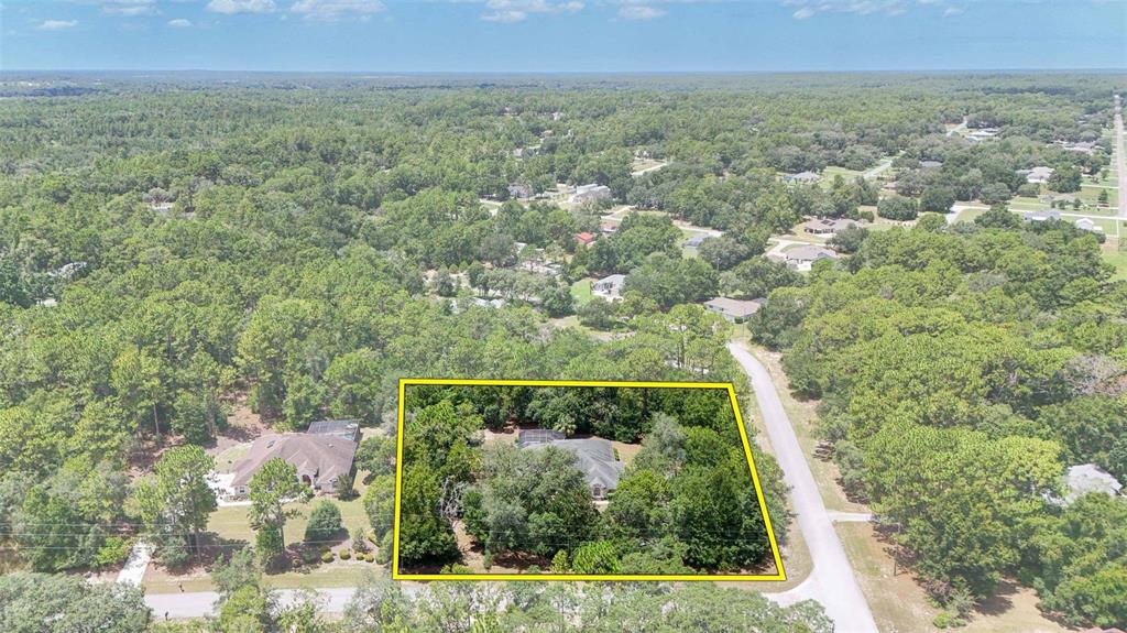 An aerial view shows a house surrounded by dense trees within a yellow-outlined lot — 4556 N MODELWOOD DRIVE, BEVERLY HILLS, FL