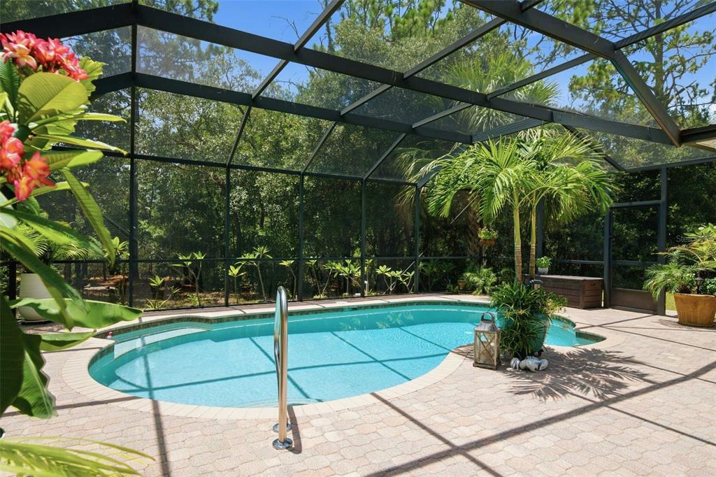 A screened-in pool area features a paver deck, tropical plants, and a wooded background — 4556 N MODELWOOD DRIVE, BEVERLY HILLS, FL