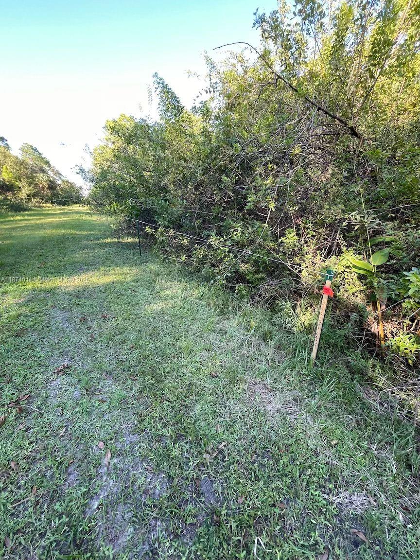 A wooden survey stake with a red marker stands in a grassy field near brush — 635 S Estribo St, Clewiston FL 33440, CLEWISTON, FL