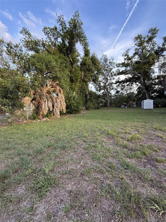 A grassy, open lot features mature trees, a palm tree, and a small storage shed — 1605 E 33RD AVENUE, TAMPA, FL