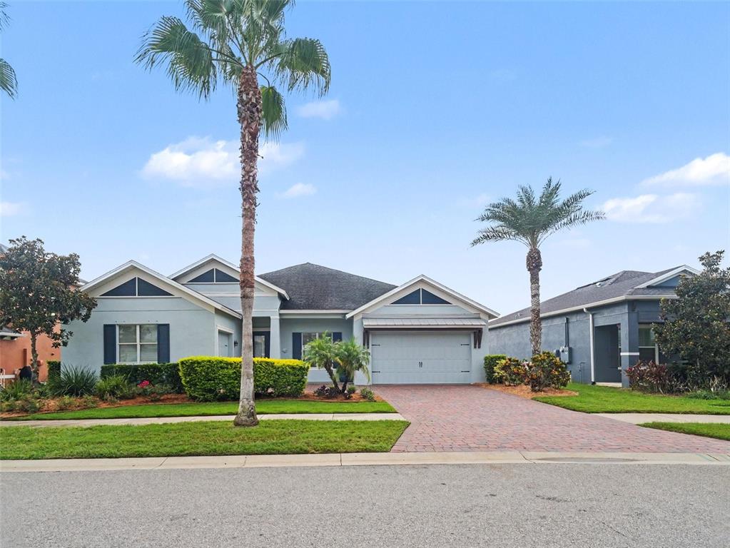A light blue single-story house with a brick driveway and two palm trees in front — 11323 LAKE LUCAYA DRIVE, RIVERVIEW, FL