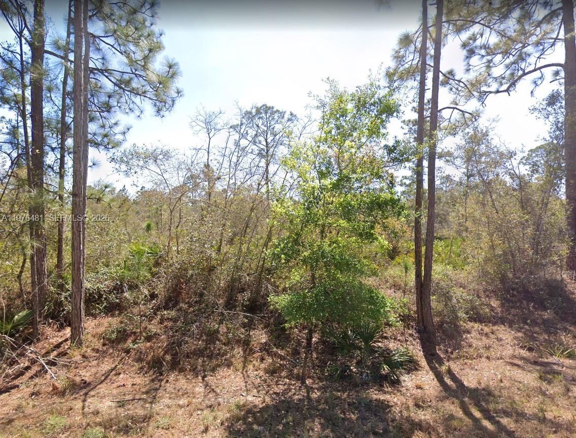 LAKE PLACID, FL — photo 3 of 5