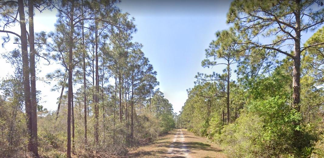 LAKE PLACID, FL — photo 4 of 5