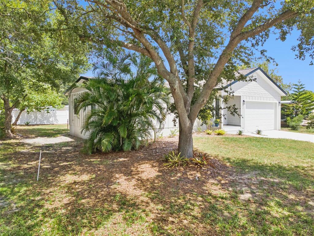 A white house with a garage and a large tree in the front yard — 7211 ORPINE DRIVE N, ST PETERSBURG, FL