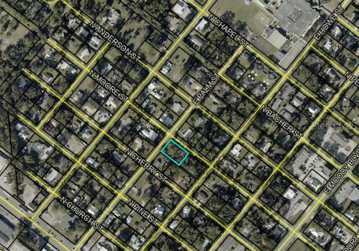 This is an aerial map view of a residential neighborhood with a highlighted property lot — E PALM STREET, BUNNELL, FL
