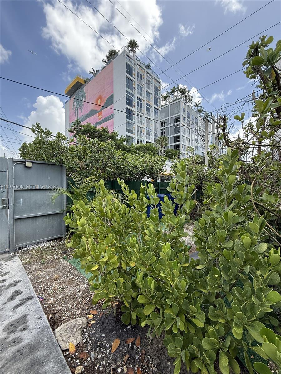 A narrow concrete walkway is flanked by dense green hedges and tropical trees — 118 NW 24th St, Miami FL 33127, MIAMI, FL