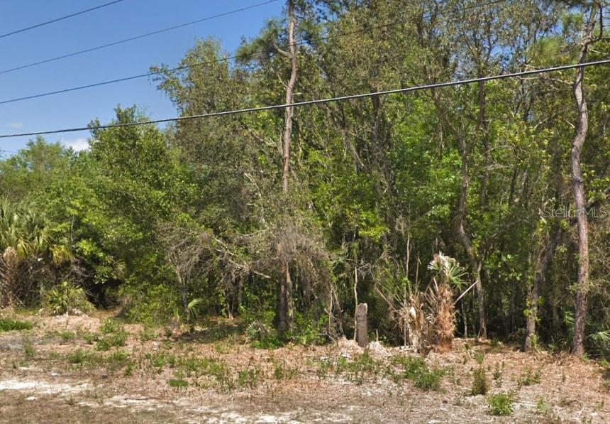 A wooded, undeveloped lot features sandy ground and dense vegetation under overhead power lines — 4030 S KINGS AVENUE, HOMOSASSA, FL