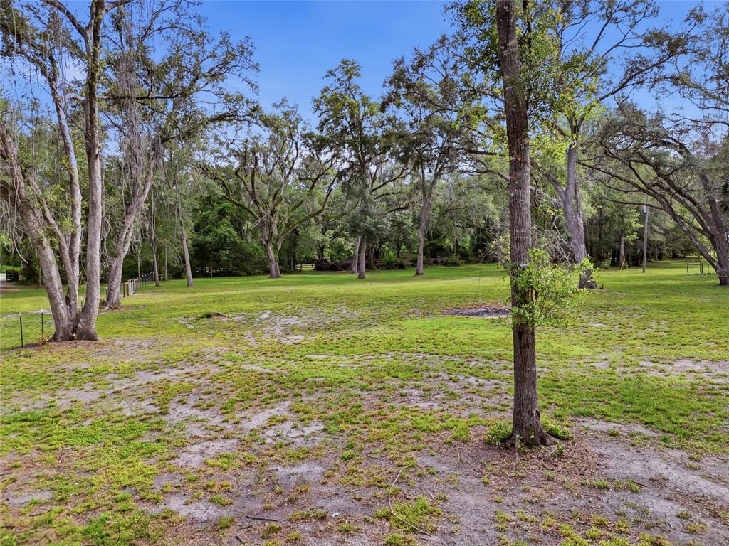 A grassy, partially shaded lot with scattered mature trees and a wire fence — 00 SW COUNTY ROAD 18, FORT WHITE, FL