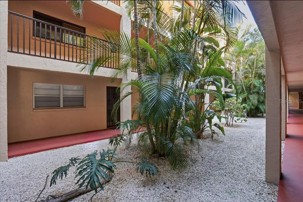 An outdoor courtyard features gravel ground, palm trees, and walkways between two-story apartment buildings — 3700 S OSPREY AVENUE UNIT 115, SARASOTA, FL