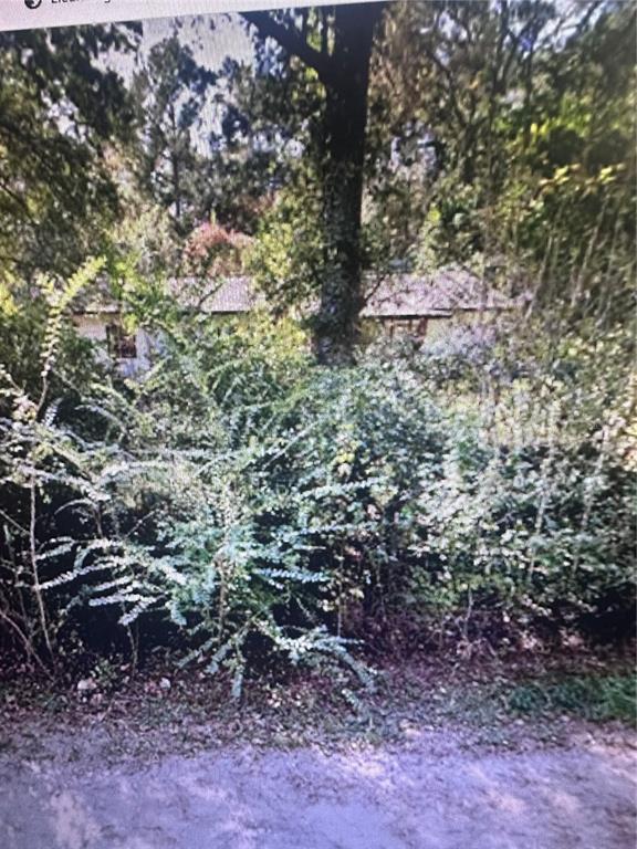 A single-story house is partially obscured by dense trees and overgrown bushes in the yard — 2180 BONIFAY GRITNEY ROAD, CARYVILLE, FL
