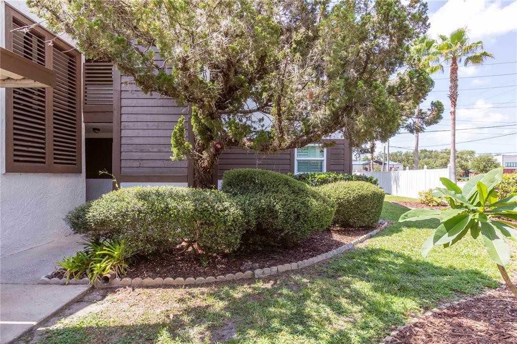 A brown multi-story building exterior features a large tree, manicured shrubs, and a palm tree — 4008 PASSPORT LANE UNIT 104, NEW PORT RICHEY, FL