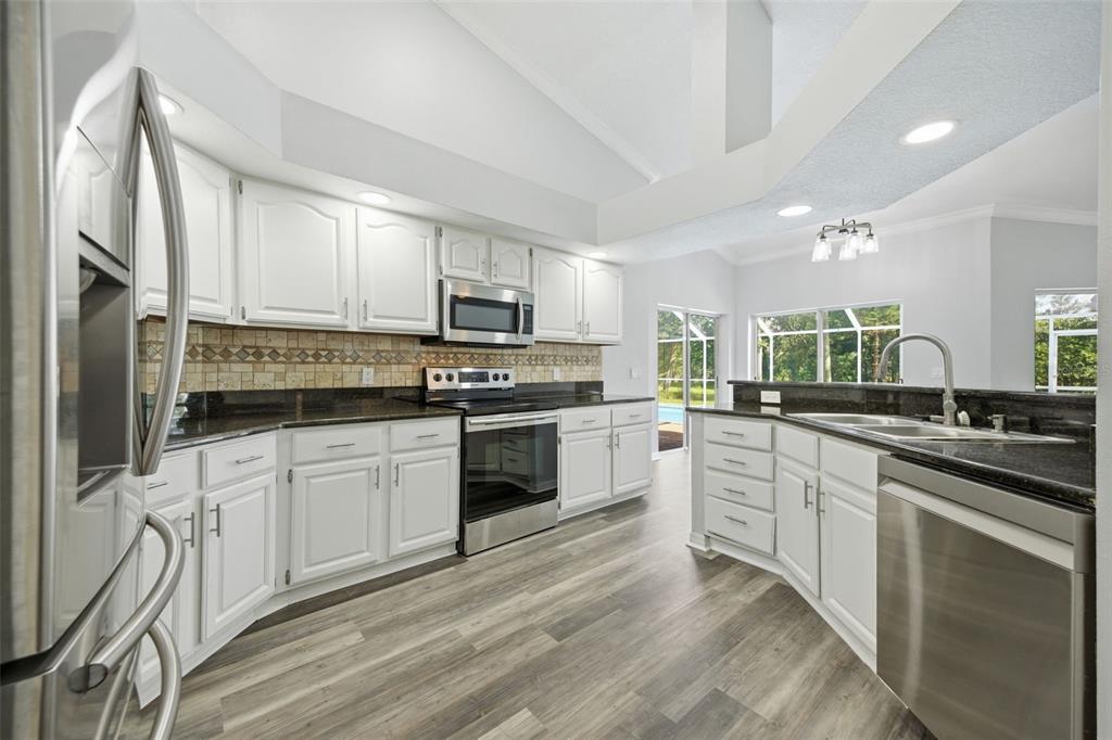 A kitchen with white cabinets, dark granite countertops, stainless steel appliances, and wood-look flooring — 504 STRATFIELD DRIVE, LUTZ, FL