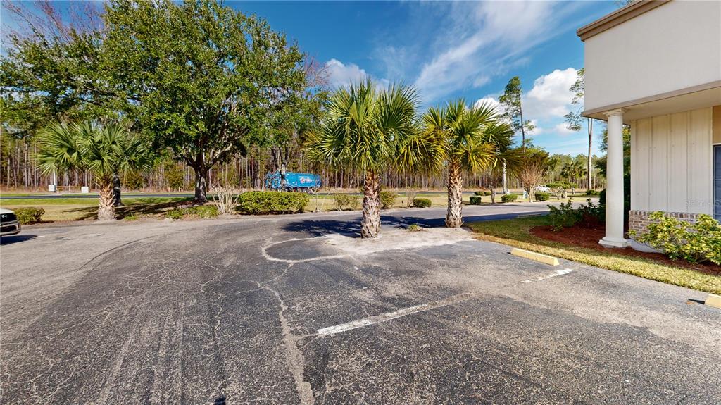 A paved parking lot features two palm trees and a building exterior on the right — 605 NW 53RD AVENUE UNIT A-18, GAINESVILLE, FL