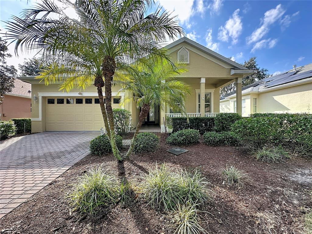A single-story house with a paved driveway, a palm tree, and a covered front porch — 146 CREPE MYRTLE DRIVE, GROVELAND, FL